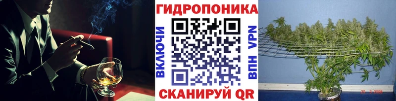 Наркошоп Княгинино A-PVP Меф мяу мяу NBOMe ГАШ МАРИХУАНА ОМГ ОМГ COCAIN