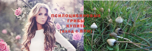 mdpv Новокубанск