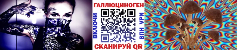 купить закладку  Княгинино  Псилоцибиновые грибы прущие грибы 